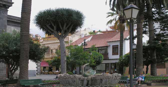 Juli: Kleiner Park in Puerto de la Cruz