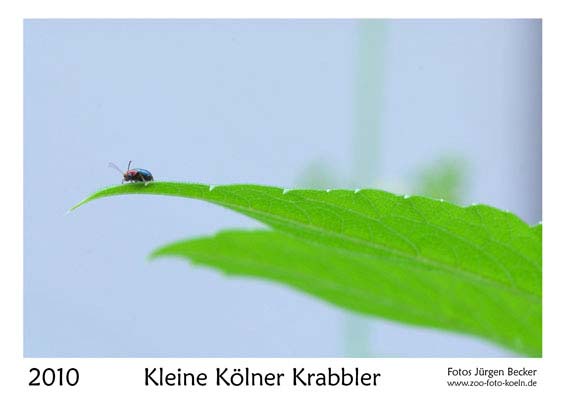 00__Deckblatt__10d_DSC_9916_2009_08__V2