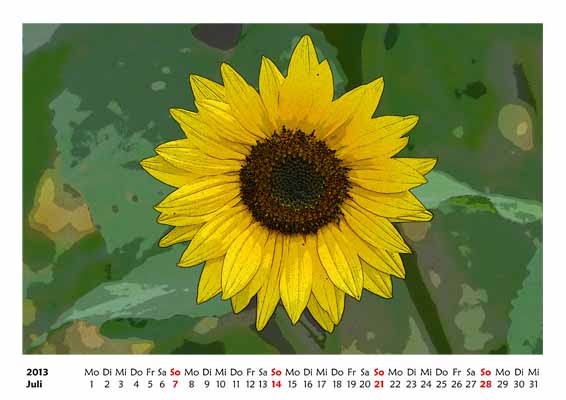 07__Juli__10d__DSC2005_Sonnenblume